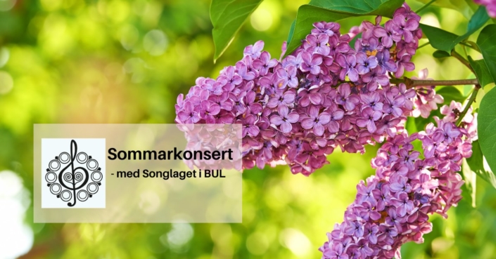 194808256_10161169015758782_3404132689256203118_n