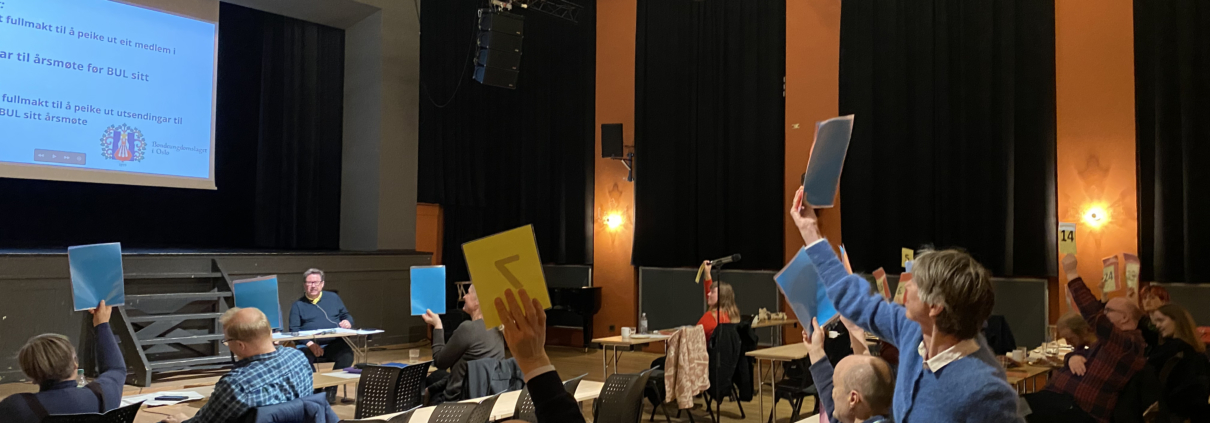 Møte i stor sal. Menn og kvinner viser stemmeseddel.